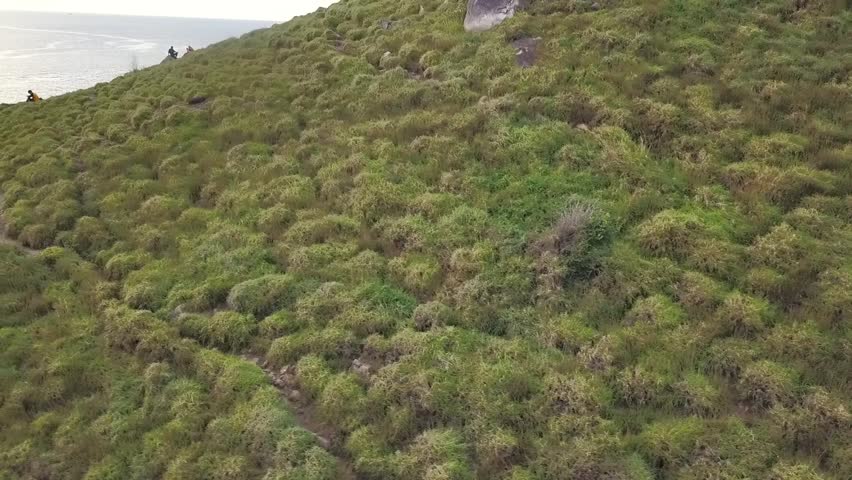 A stunning coastal landscape featuring lush green hills leading down to a tranquil ocean view, perfect for adventure seekers and nature lovers.