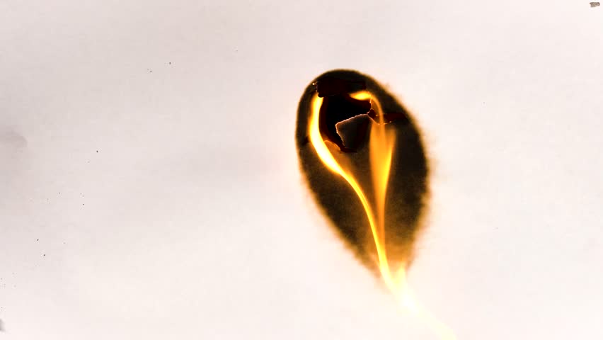 Film burn video transitions. Monochrome texture. Animated paper burning on fire background. High quality 4k footage