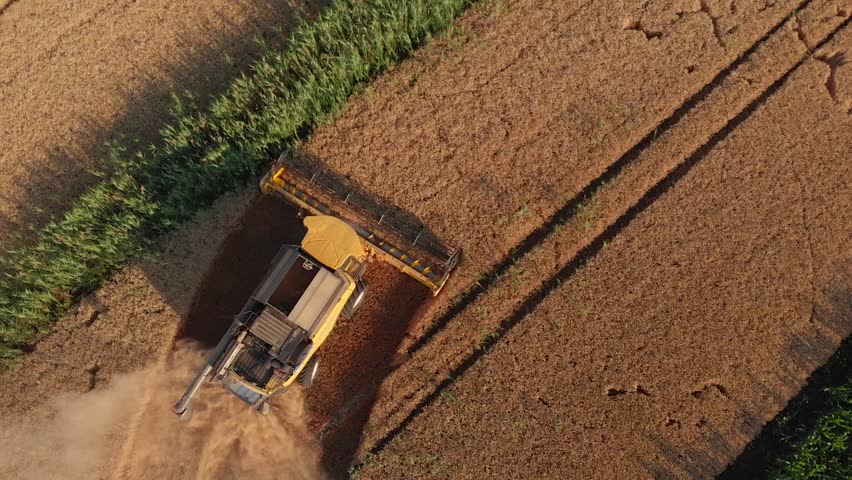  drone shot of a combine harvester turning in a golden wheat field. The camera follows the movement of the combine, capturing the impressive machinery as it works through the ripe wheat. On the left s - Powered by Shutterstock - Get 15% off with code: PIKWIZARD15