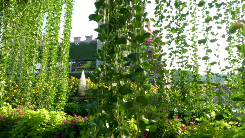 Dubai Miracle castle 4k footage 