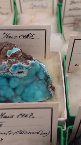 Vertical View of Rocks and Minerals Collection