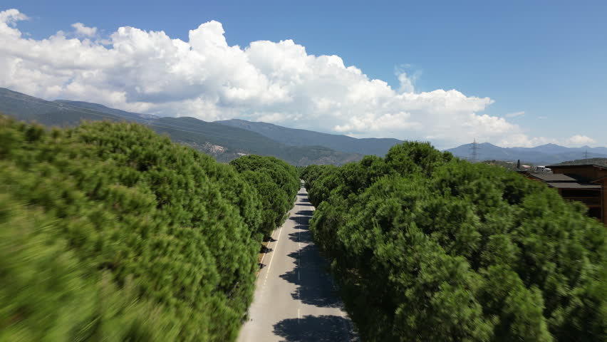 Aerial view of a tree-lined road in Edremit, Turkey, with mountains and houses under a blue sky, oe01