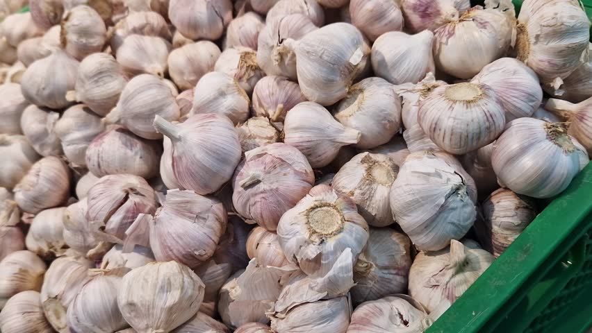 Garlic close up in supermarket. Lots of garlic in plastic green box on market stall. Garlic in green plastic box at farmers market. Garlic for sale in store. Display of fresh produce for sale