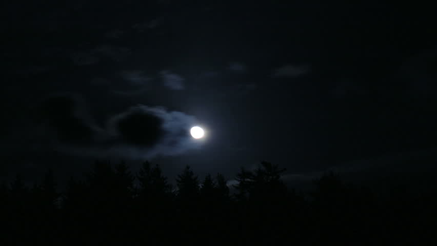 A time-lapse view of the moon and clouds over a pine forest.