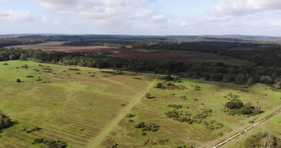 Aerial view of the beautiful landscape of the New Forest National Park in southern England, showcasing its vast greenery and unique terrain. pedestal down
