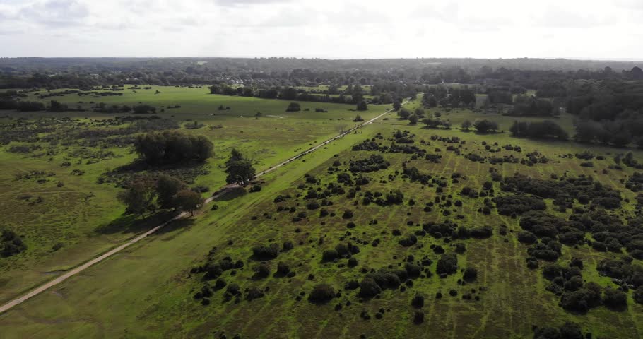 Aerial view of a long straight road crossing the new forest national park in southern england