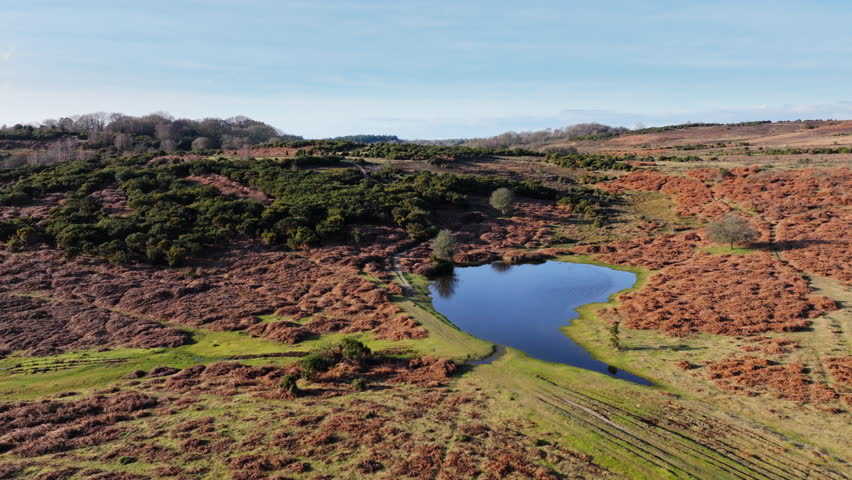 Aerial shot flying over New Forest Protected Area landscape, Hampshire, UK