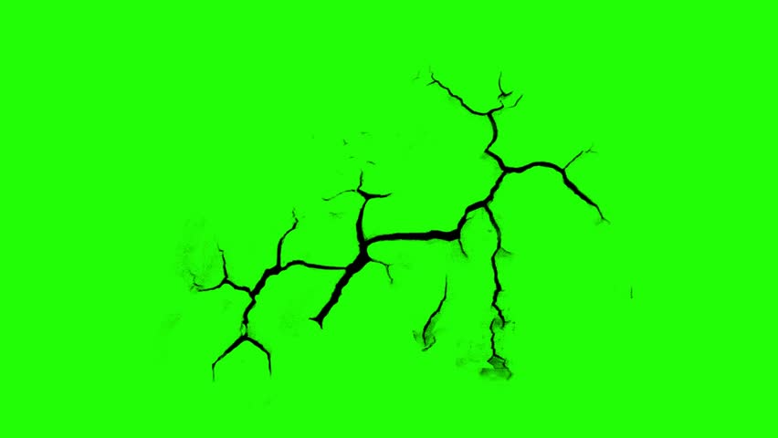 Shutterstock Video