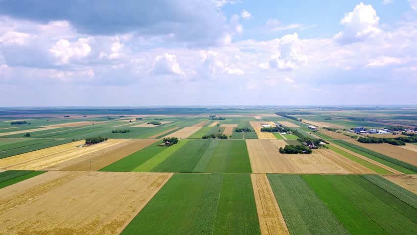 Vast agricultural landscape showcases diverse fields under bright blue sky in summer