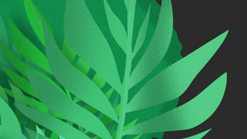 Motion graphics Transition featuring green plants and leaves on Alpha channel!

