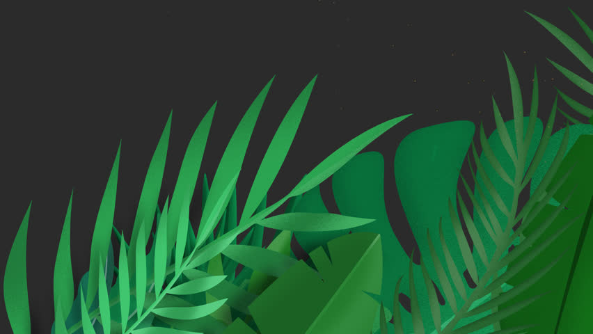 Plants and Leafs animated video Transition on alpha channel
