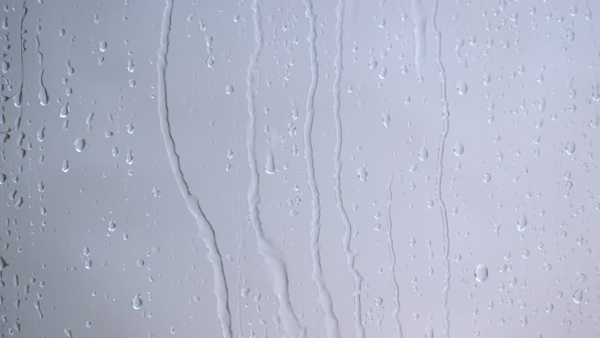 Shutterstock Video
