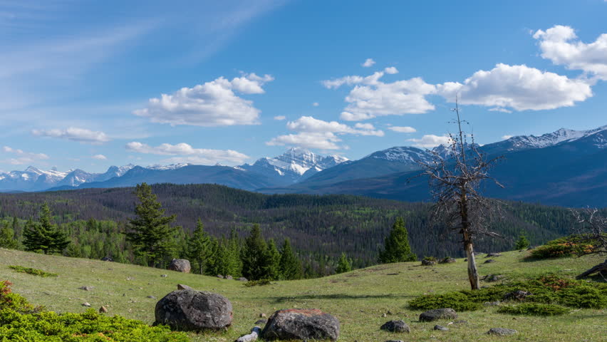 Jasper National Park Athabasca Valley forest in summer. Canadian Rockies mountain range beautiful landscape. Alberta, Canada. Time-lapse photography. 
