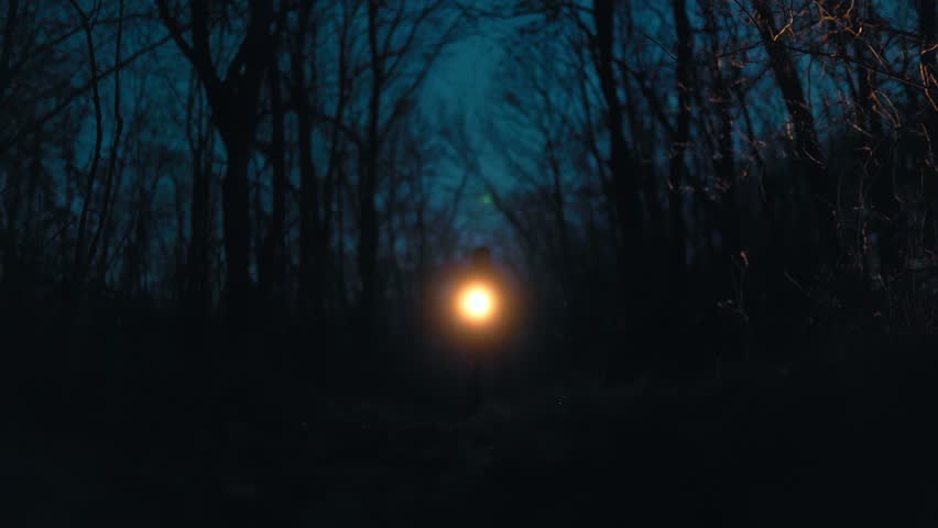 A man holding a flashlight searches the forest at night, the dim light creating a mysterious and suspenseful atmosphere amidst the towering trees.