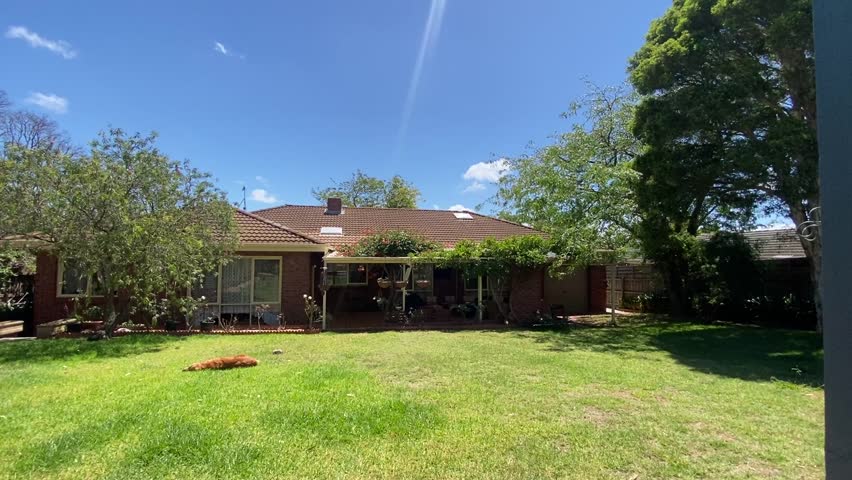 Video of Australian backyard with blue sky and green grass 