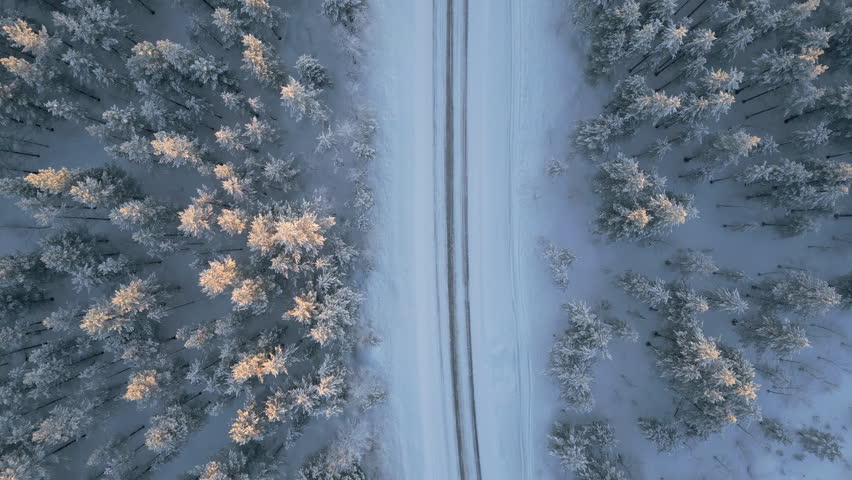 top down view drone of car driving on the forest snowy road finland winter time,exploring finnish landscape