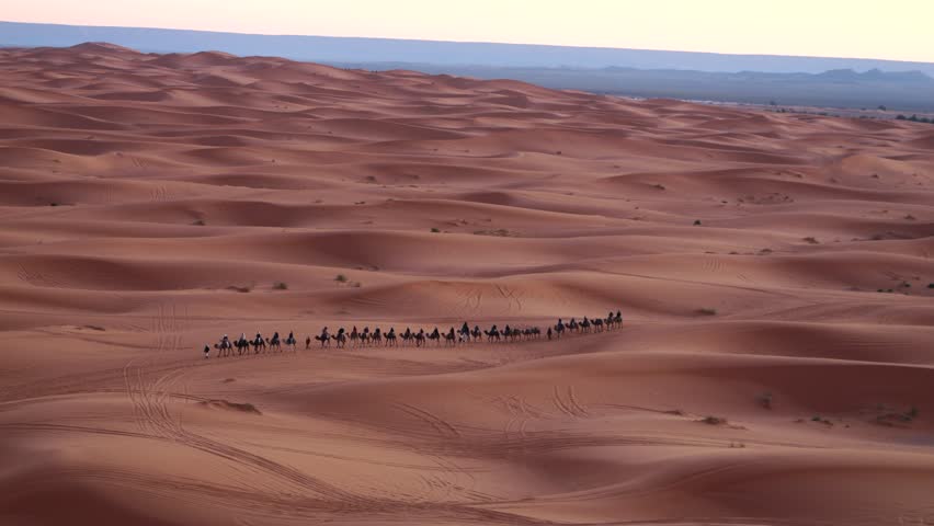 Nomadic Journey: Camel Caravan Across the Sahara Desert