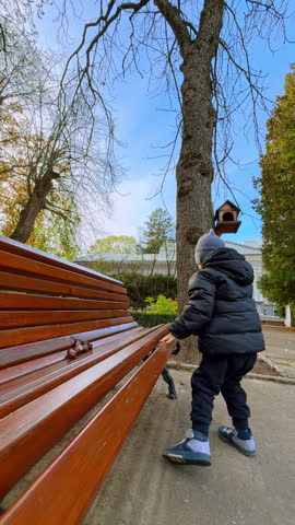 Baby boy crawls by the wooden bench in the park. Little kid plays with chestnuts in autumn. Vertical video.