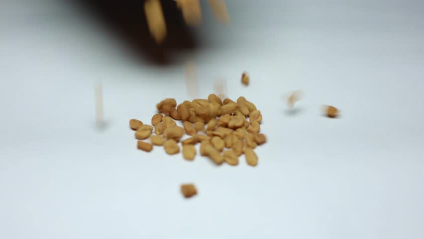 fresh fenugreek seeds dropping on plain white background