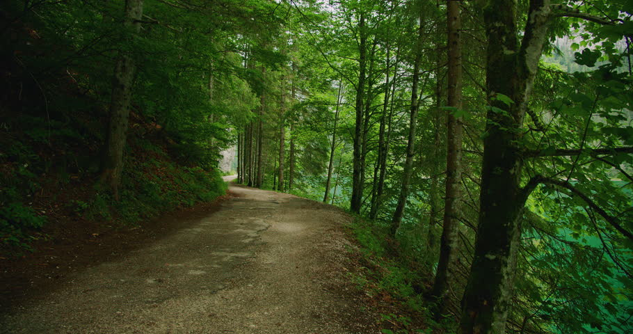 Shaded forest path winds along the edge of a turquoise lake, surrounded by lush greenery