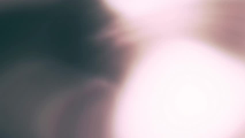 Shutterstock Video