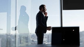 Confident businessman talks on phone and juggles stress ball by office window in modern high rise. He enjoys city view. - Powered by Shutterstock - Get 15% off with code: PIKWIZARD15