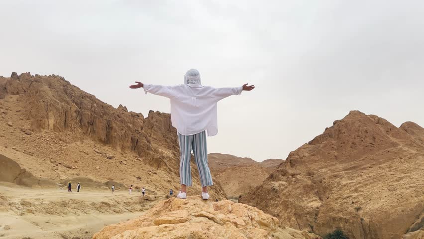 Female traveler enjoys the breathtaking view of the Chebika oasis, surrounded by vast desert landscapes in Tunisia, Africa