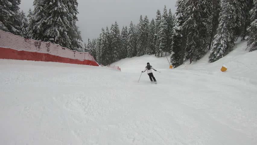 A downhill skiing scene through a forested snowy trail, offering an exhilarating experience of speed and winter sports.