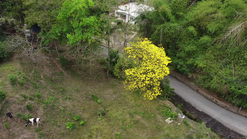 An aerial view over St Augustine, Showing St. Benedict Church