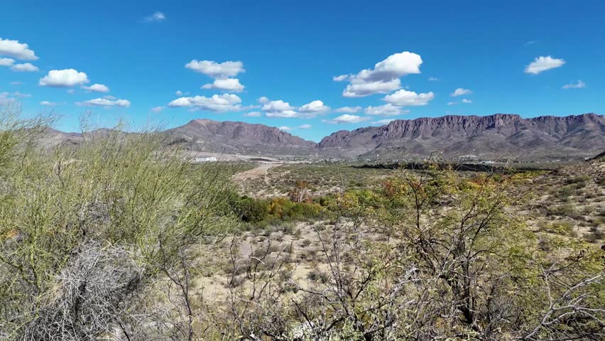Looking through the Trees at a small desert Town with Mountains behind it. Blue Sky with a few clouds. Superior, Arizona