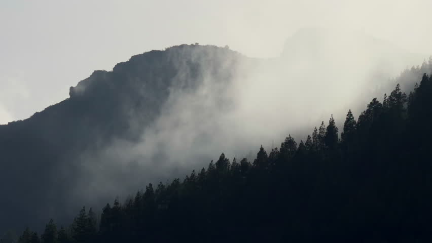 Misty mountain landscape with a dense pine forest, where fog softens the contours of trees and hills, creating a serene and mysterious atmosphere under an overcast sky.