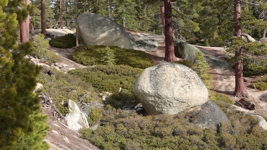 Mountain Lake Tahoe beautify nature pan. Shore of Lake Tahoe forested scenic drive and picnic area. Trails for hiking and wildlife viewing.