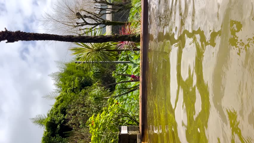 A peaceful view of the golden-hued thermal pools of Poca da Dona Beija in Furnas, São Miguel Island. The calm water reflects the lush greenery and tropical plants surrounding the natural hot spring.