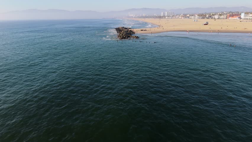 Surfers Waiting for Waves at Venice Beach November 2024