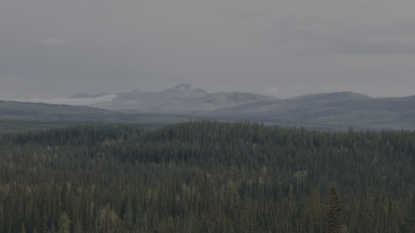 Aerial view of vast Yukon wilderness with rolling hills
