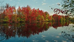 Beautiful autumn trees reflected in calm lake under the blue sky, North America, Quebec, Montreal, Canada. - Powered by Shutterstock - Get 15% off with code: PIKWIZARD15