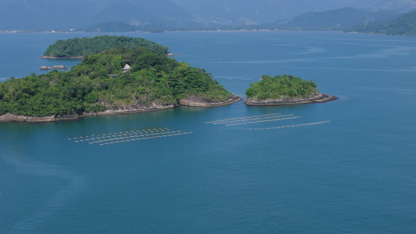 An algae seaweed farm in Paraty grows algae in a controlled way for food, industrial and environmental uses in a sustainable way.