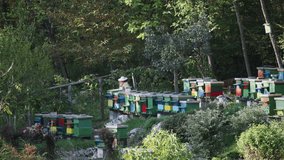 Beekeeper dressed in protective clothing cleaning hives with bees - Powered by Shutterstock - Get 15% off with code: PIKWIZARD15