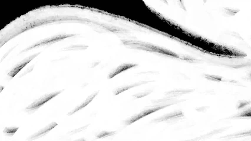 White scribble transition on black background animation