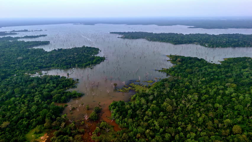 Weheragala reservoir in sri lanka, showcasing dense forest and water, aerial view