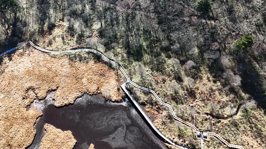Aerial View of Autumn at Kakumanbuchi Marsh, Japan
