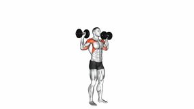 Dumbbell Standing Overhead Press. Shoulders exercise. Workout animation video training guide - Powered by Shutterstock - Get 15% off with code: PIKWIZARD15
