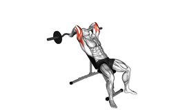 EZ Barbell Incline Triceps Extension. Upper Arms exercise. Workout animation video training guide - Powered by Shutterstock - Get 15% off with code: PIKWIZARD15
