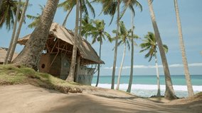 Summer of young woman sitting on swing on the beach on blue sea and green palms background and having fun. Happy female relaxing in hammock on a tropical beach. Young girls traveler enjoying. Summer - Powered by Shutterstock - Get 15% off with code: PIKWIZARD15