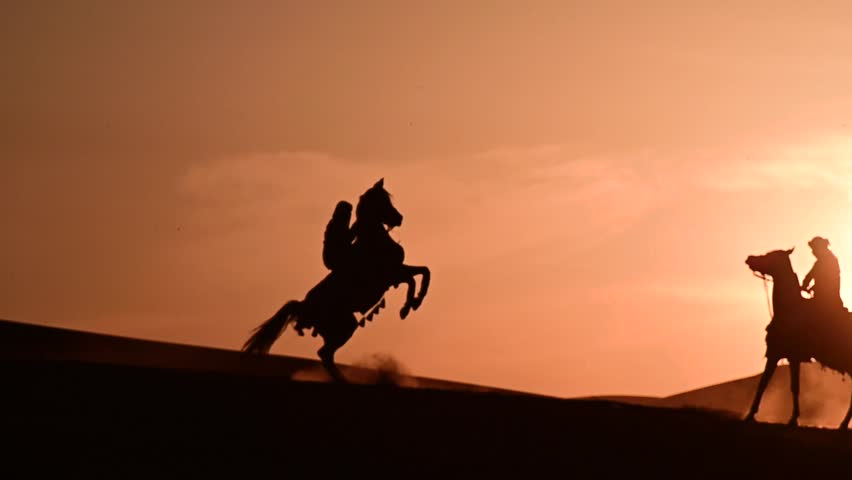 A Saudi rider gracefully moves through the golden desert on an Arabian horse, silhouetted against the stunning sunset. The scene captures the beauty of tradition, freedom, and the timeless bond 