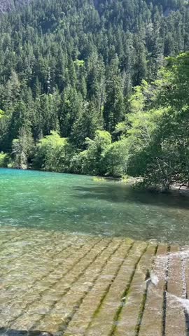 Olympic National Park Washington state