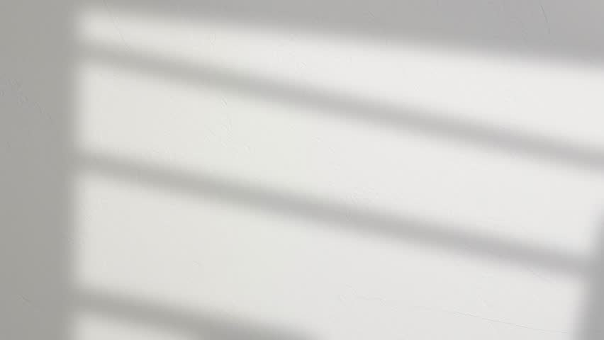 Shutterstock Video