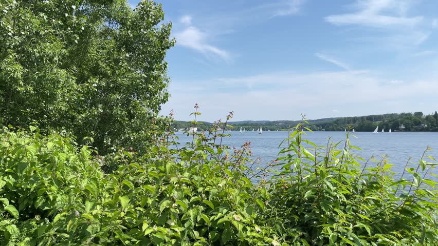 A footage of a lake in Mohnesee municipality in Germany