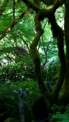 Beautiful summer view of Sunken Garden at Butchart Gardens on Vancouver Island, British Columbia, Canada, in horizontal format