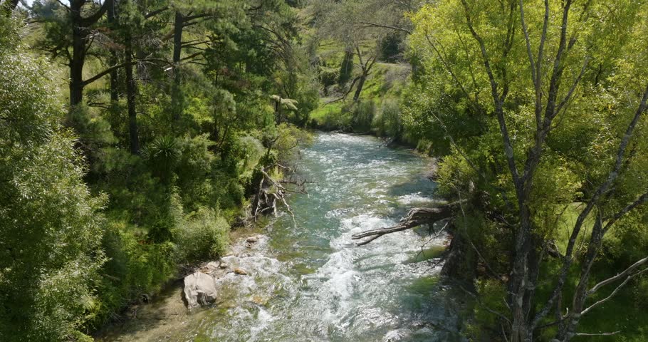 Tranquil mountain stream, flowing through lush green forest. Nature
